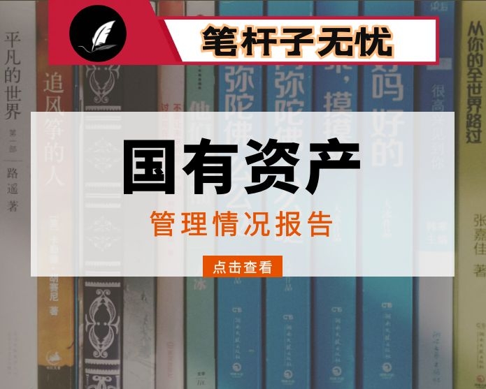 国有资产管理情况报告