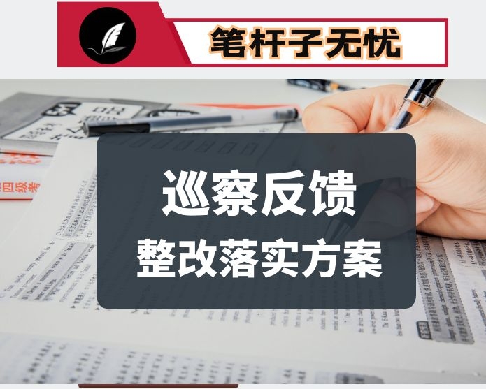 巡察反馈意见整改落实方案