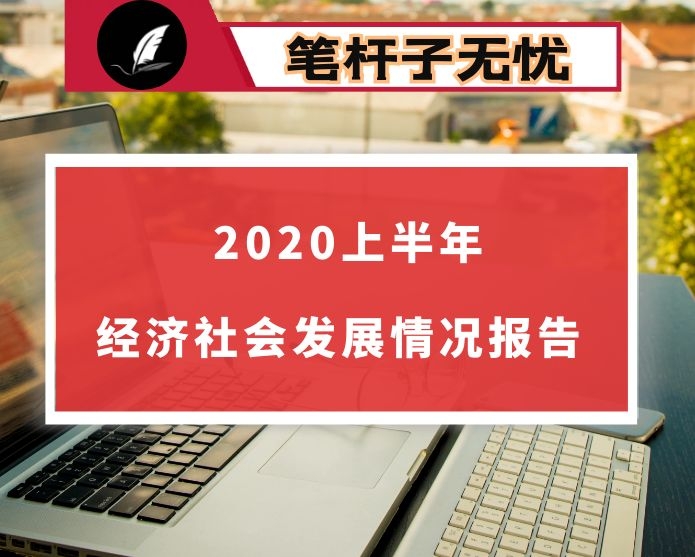 2020年上半年经济社会发展情况报告