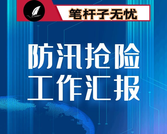 市防汛抗洪抢险救灾工作情况汇报