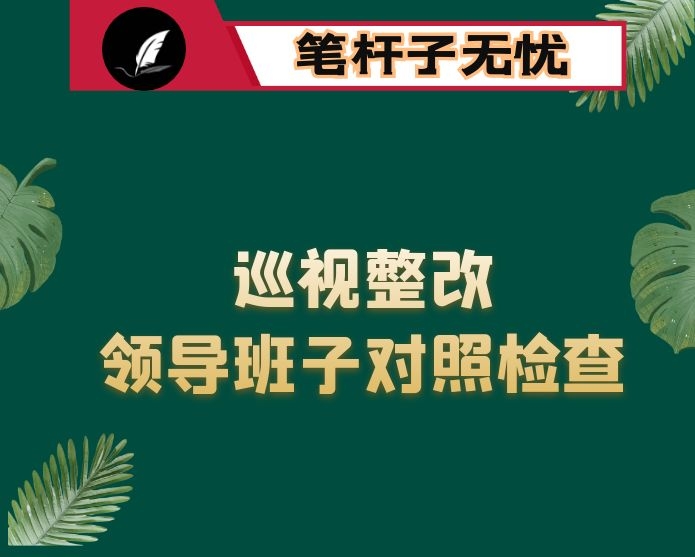 巡视整改专题民主生活会领导班子对照检查材料