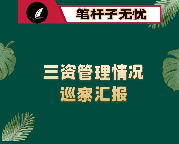 县对农村“三资”管理开展专项巡察情况报告