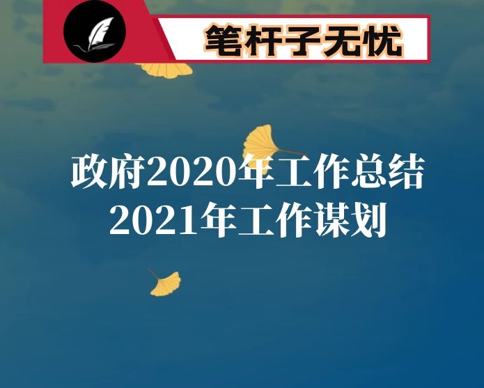 市人民政府2020年工作总结2021年工作谋划
