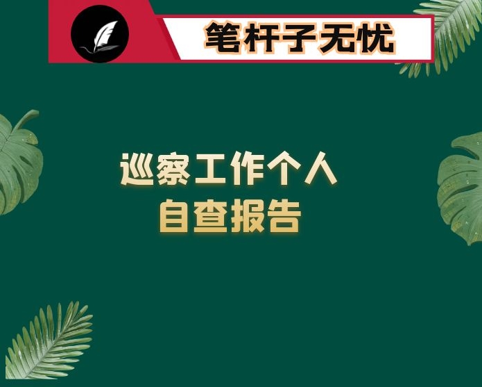 乡镇长巡察工作个人自查报告