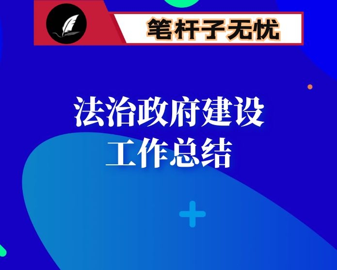 2020年法治政府建设工作总结