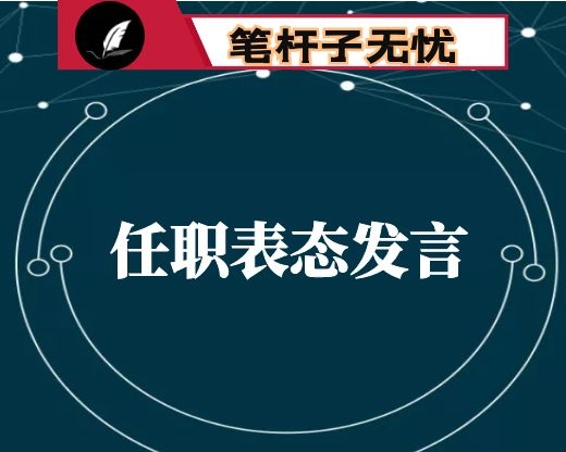 区委书记任职表态发言