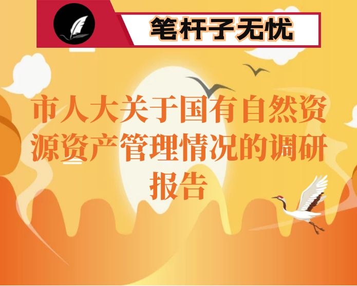 市人大关于国有自然资源资产管理情况的调研报告