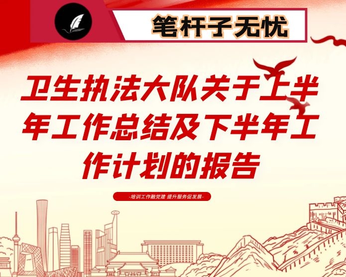 卫生执法大队关于上半年工作总结及下半年工作计划的报告