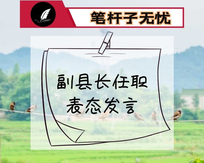 副县长任职表态发言