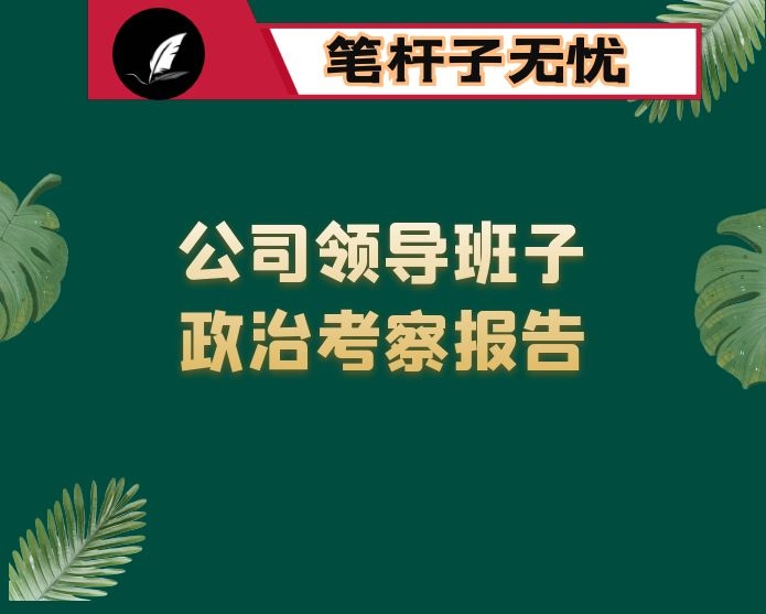 公司领导班子政治考察报告