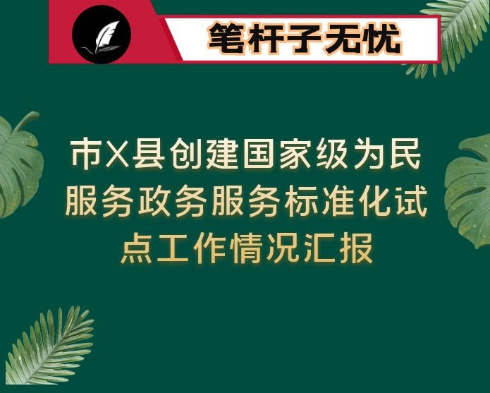 市X县创建国家级为民服务政务服务标准化试点工作情况汇报