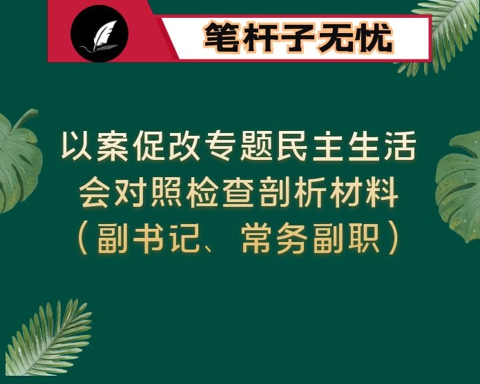 以案促改专题民主生活会对照检查剖析材料（副书记、常务副职）