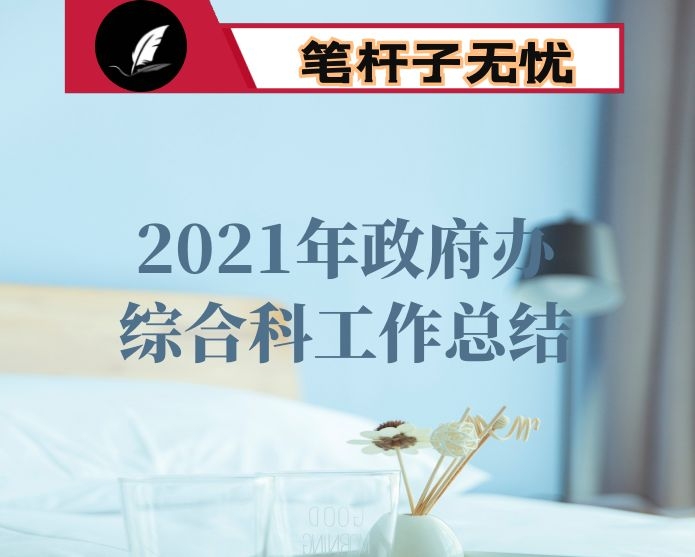 2021年政府办综合科工作总结