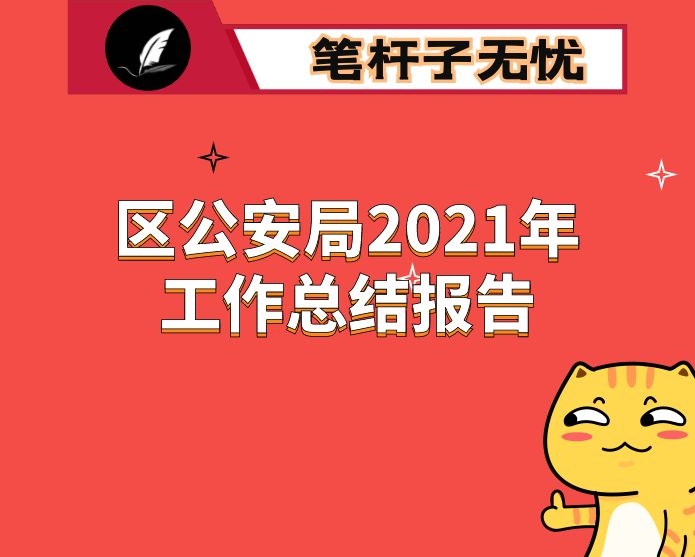 区公安局2021年工作总结报告