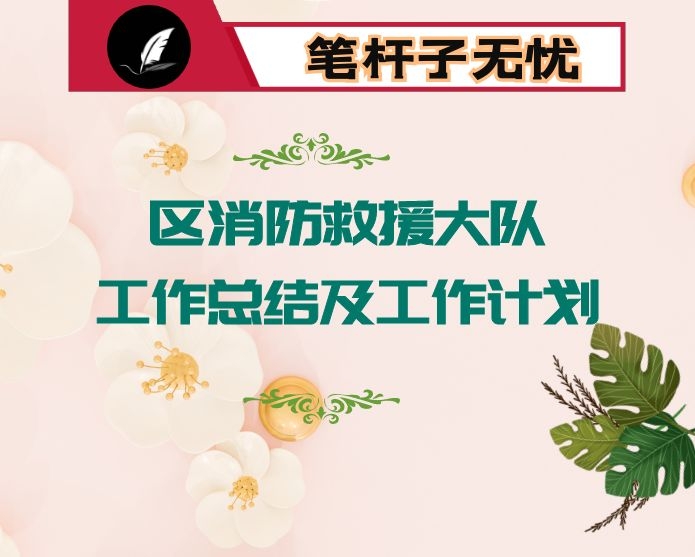 区消防救援大队工作总结及工作计划