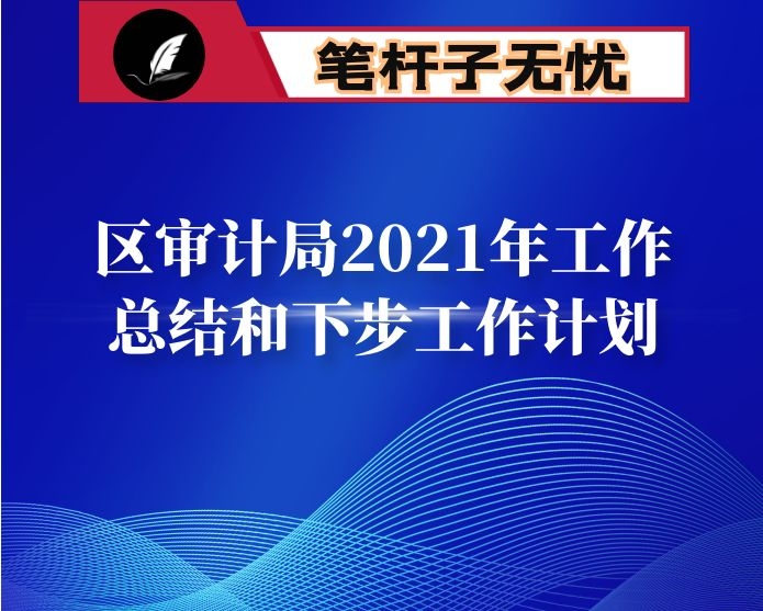 区审计局2021年工作总结和下步工作计划