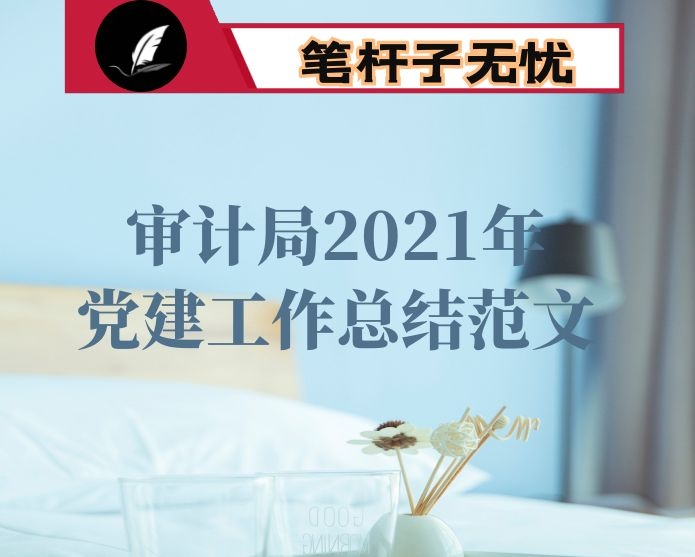 审计局2021年党建工作总结范文