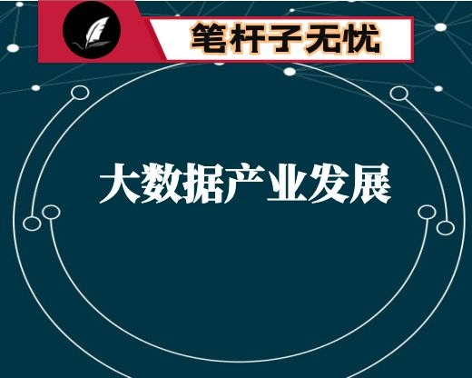 某市（县区）大数据产业发展报告