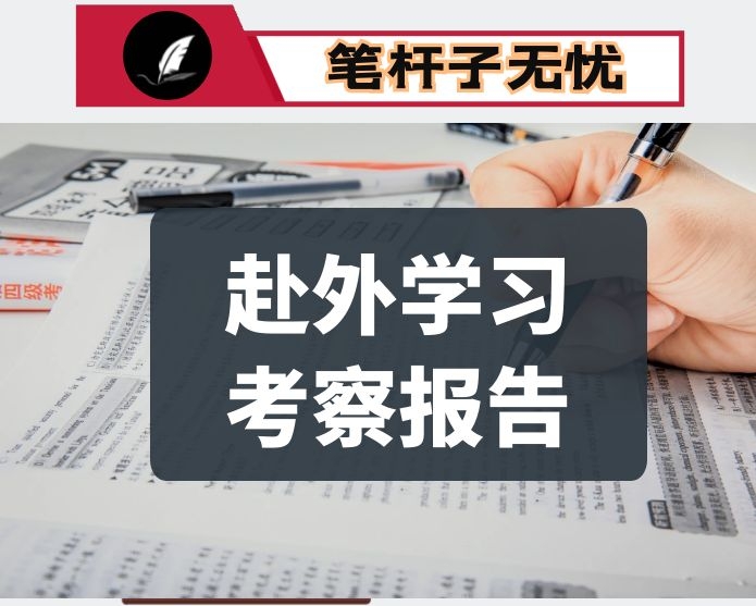 市政府考察组赴X和X市学习考察报告