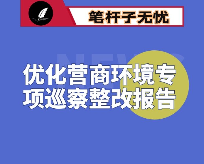 市大数据发展和政务服务局优化营商环境专项巡察整改报告