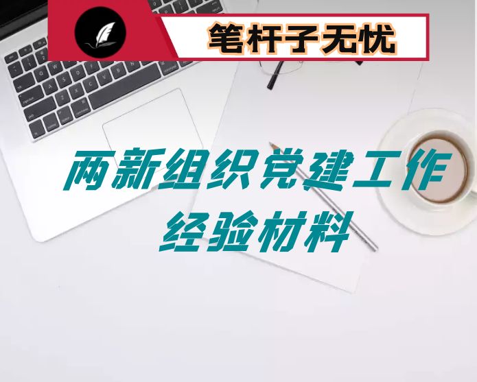 两新组织党建工作经验材料