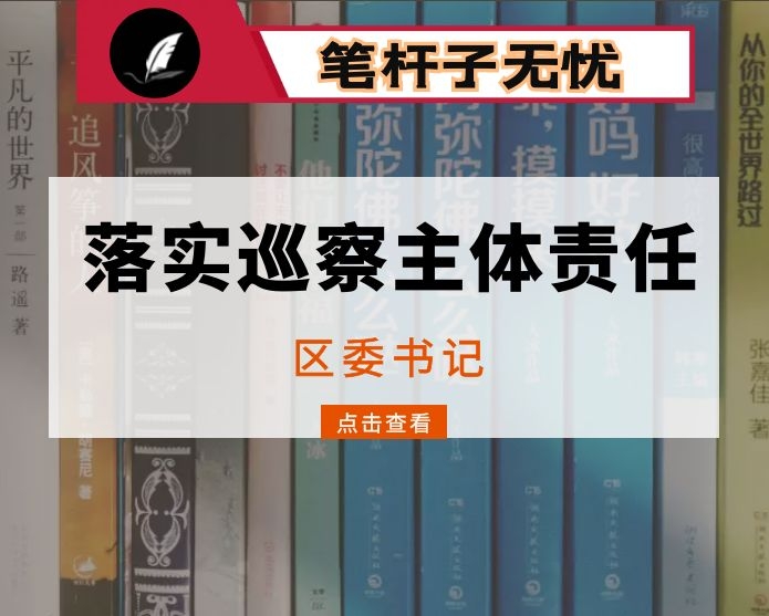 区委书记落实巡察工作主体责任汇报